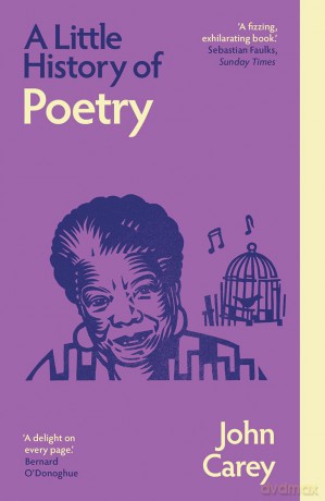 A Little History of Poetry (Little Histories) - John Carey [KSIĄŻKA]