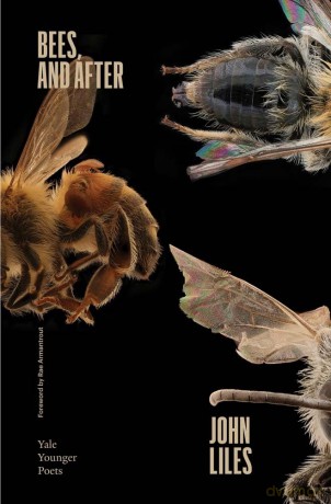 Bees, and After: Volume 119 (Yale Series of Younger Poets) - John Liles [KSIĄŻKA]