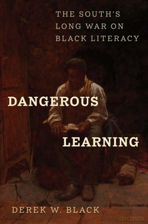 Dangerous Learning: The South's Long War on Black Literacy - Derek W Black [KSIĄŻKA]
