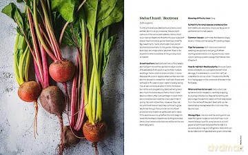 Seed to Table: A Seasonal Guide to Organically Growing, Cooking, and Preserving Food at Home (Kitchen Garden, Urban Gardening) - Luay Ghafari [KSIĄŻKA]
