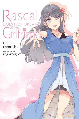 Rascal Does Not Dream of His Girlfriend (light novel): Volume 14 (Rascal Does Not Dream (Light Novel)) - Andrew Cunningham [KSIĄŻKA]