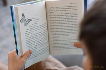 The Bug Bandits: The Museum Is Her Home. Her Mission Is to Save It. - Jenni L Walsh [KSIĄŻKA]