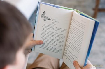 The Bug Bandits: The Museum Is Her Home. Her Mission Is to Save It. - Jenni L Walsh [KSIĄŻKA]