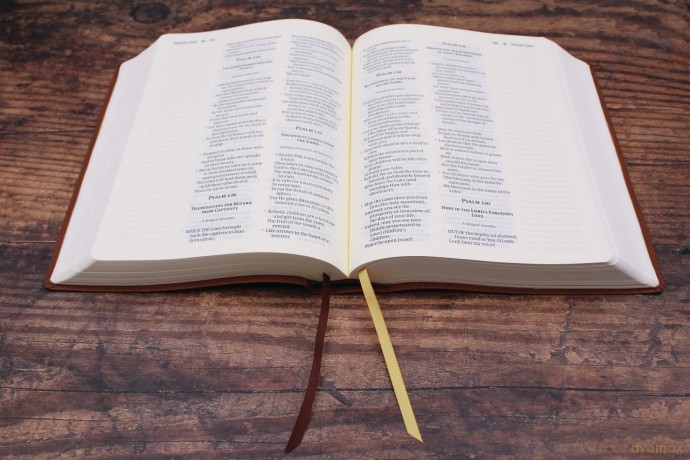 Amplified Journal the Word Bible, Leathersoft, Brown: Reflect, Take Notes, or Create Art Next to Your Favorite Verses - Zondervan [KSIĄŻKA]