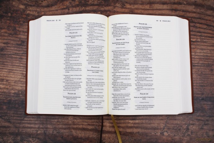 Amplified Journal the Word Bible, Leathersoft, Brown: Reflect, Take Notes, or Create Art Next to Your Favorite Verses - Zondervan [KSIĄŻKA]