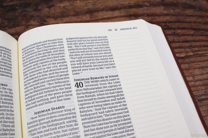 Amplified Journal the Word Bible, Leathersoft, Brown: Reflect, Take Notes, or Create Art Next to Your Favorite Verses - Zondervan [KSIĄŻKA]