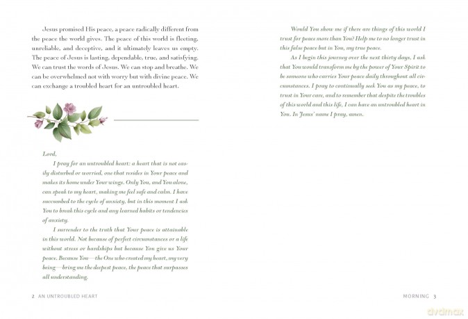 An Untroubled Heart: Calming Anxiety and Finding God's Peace (A 30-Day Morning and Evening Devotional) - Kara Stout [KSIĄŻKA]