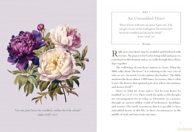 An Untroubled Heart: Calming Anxiety and Finding God's Peace (A 30-Day Morning and Evening Devotional) - Kara Stout [KSIĄŻKA]