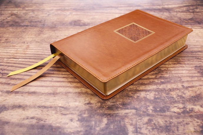NASB, Personal Size Bible, Large Print, Leathersoft, Brown, Red Letter, 1995 Text, Comfort Print: Nasb, Personal Size Bible, Leathersoft, Brown, Red Letter, 1995 Text, Comfort Print - Zondervan [KSIĄŻKA]