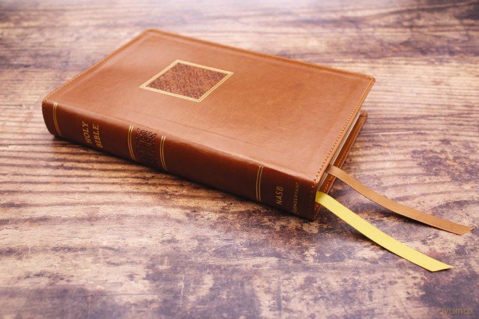 NASB, Personal Size Bible, Large Print, Leathersoft, Brown, Red Letter, 1995 Text, Comfort Print: Nasb, Personal Size Bible, Leathersoft, Brown, Red Letter, 1995 Text, Comfort Print - Zondervan [KSIĄŻKA]