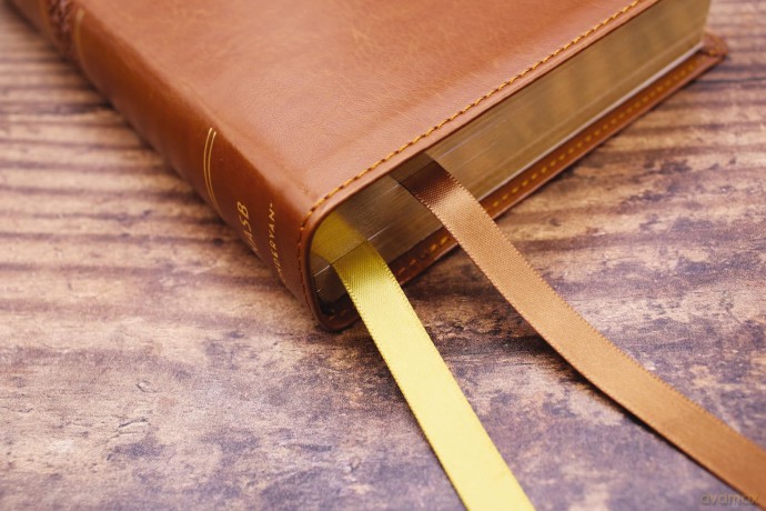 NASB, Personal Size Bible, Large Print, Leathersoft, Brown, Red Letter, 1995 Text, Comfort Print: Nasb, Personal Size Bible, Leathersoft, Brown, Red Letter, 1995 Text, Comfort Print - Zondervan [KSIĄŻKA]