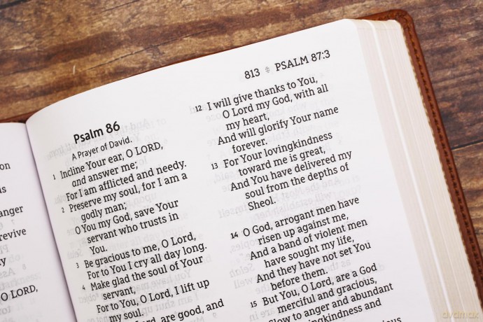 NASB, Personal Size Bible, Large Print, Leathersoft, Brown, Red Letter, 1995 Text, Comfort Print: Nasb, Personal Size Bible, Leathersoft, Brown, Red Letter, 1995 Text, Comfort Print - Zondervan [KSIĄŻKA]