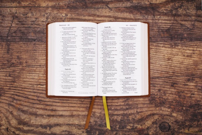 NASB, Personal Size Bible, Large Print, Leathersoft, Brown, Red Letter, 1995 Text, Comfort Print: Nasb, Personal Size Bible, Leathersoft, Brown, Red Letter, 1995 Text, Comfort Print - Zondervan [KSIĄŻKA]
