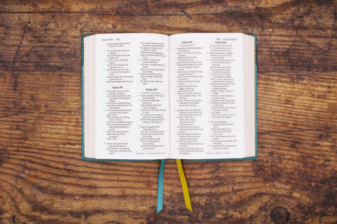 NASB, Personal Size Bible, Large Print, Leathersoft, Teal, Red Letter, 1995 Text, Comfort Print: Nasb, Personal Size Bible, Leathersoft, Teal, Red Letter, 1995 Text, Comfort Print - Zondervan [KSIĄŻKA]