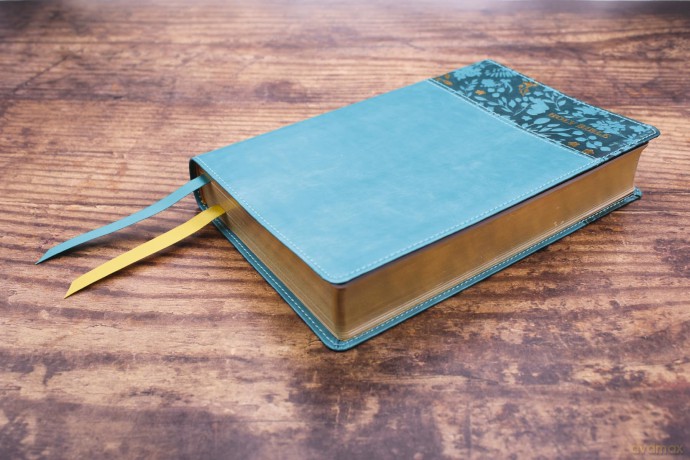 NASB, Personal Size Bible, Large Print, Leathersoft, Teal, Red Letter, 1995 Text, Comfort Print: Nasb, Personal Size Bible, Leathersoft, Teal, Red Letter, 1995 Text, Comfort Print - Zondervan [KSIĄŻKA]