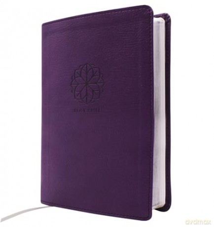 NRSVue, Holy Bible with Apocrypha, Compact, Leathersoft, Purple, Comfort Print: Nrsvue, Holy Bible With Apocrypha, Leathersoft, Purple, Comfort Print - Zondervan [KSIĄŻKA]