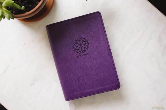 NRSVue, Holy Bible with Apocrypha, Compact, Leathersoft, Purple, Comfort Print: Nrsvue, Holy Bible With Apocrypha, Leathersoft, Purple, Comfort Print - Zondervan [KSIĄŻKA]