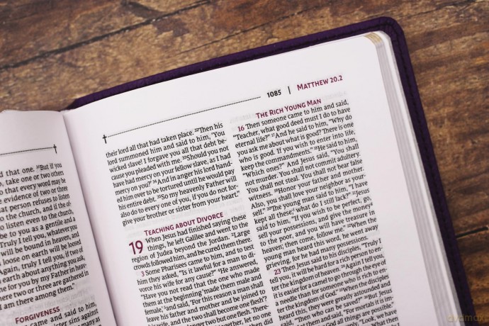 NRSVue, Holy Bible with Apocrypha, Compact, Leathersoft, Purple, Comfort Print: Nrsvue, Holy Bible With Apocrypha, Leathersoft, Purple, Comfort Print - Zondervan [KSIĄŻKA]