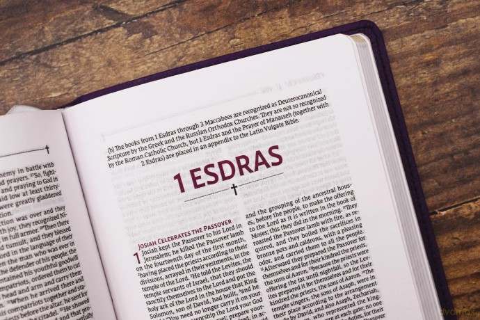 NRSVue, Holy Bible with Apocrypha, Compact, Leathersoft, Purple, Comfort Print: Nrsvue, Holy Bible With Apocrypha, Leathersoft, Purple, Comfort Print - Zondervan [KSIĄŻKA]