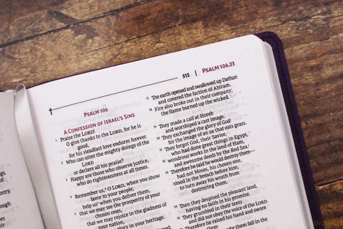 NRSVue, Holy Bible with Apocrypha, Compact, Leathersoft, Purple, Comfort Print: Nrsvue, Holy Bible With Apocrypha, Leathersoft, Purple, Comfort Print - Zondervan [KSIĄŻKA]