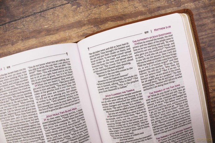 NRSVue, Holy Bible, Compact, Leathersoft, Brown, Comfort Print: Nrsvue, Holy Bible, Leathersoft, Brown, Comfort Print - Zondervan [KSIĄŻKA]