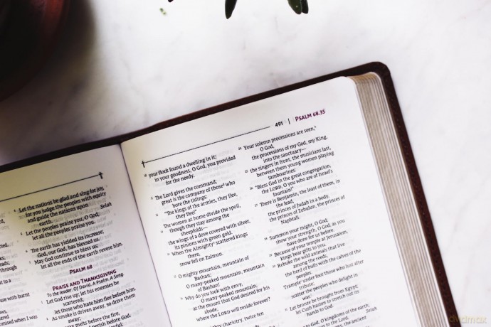 NRSVue, Holy Bible, Compact, Leathersoft, Brown, Comfort Print: Nrsvue, Holy Bible, Leathersoft, Brown, Comfort Print - Zondervan [KSIĄŻKA]