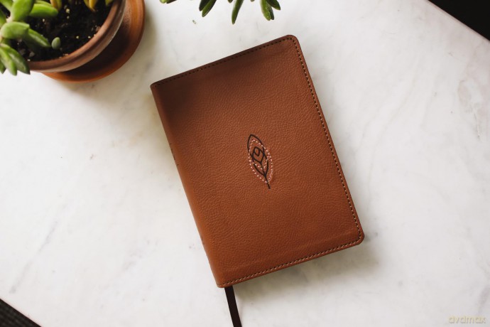 NRSVue, Holy Bible, Compact, Leathersoft, Brown, Comfort Print: Nrsvue, Holy Bible, Leathersoft, Brown, Comfort Print - Zondervan [KSIĄŻKA]