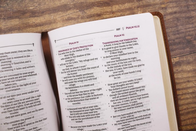 NRSVue, Holy Bible, Compact, Leathersoft, Brown, Comfort Print: Nrsvue, Holy Bible, Leathersoft, Brown, Comfort Print - Zondervan [KSIĄŻKA]