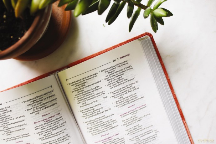 NRSVue, Holy Bible, Compact, Leathersoft, Peach, Comfort Print: Nrsvue, Holy Bible, Leathersoft, Peach, Comfort Print - Zondervan [KSIĄŻKA]