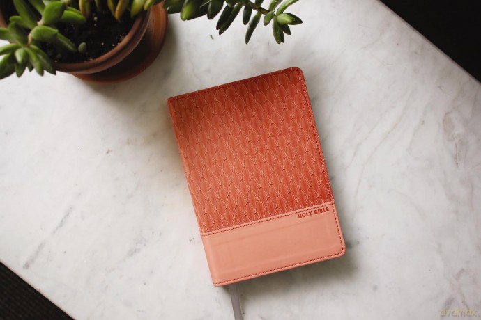 NRSVue, Holy Bible, Compact, Leathersoft, Peach, Comfort Print: Nrsvue, Holy Bible, Leathersoft, Peach, Comfort Print - Zondervan [KSIĄŻKA]