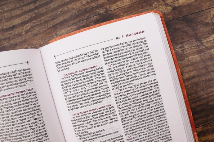 NRSVue, Holy Bible, Compact, Leathersoft, Peach, Comfort Print: Nrsvue, Holy Bible, Leathersoft, Peach, Comfort Print - Zondervan [KSIĄŻKA]