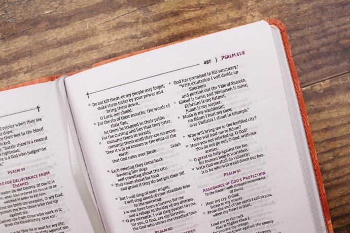 NRSVue, Holy Bible, Compact, Leathersoft, Peach, Comfort Print: Nrsvue, Holy Bible, Leathersoft, Peach, Comfort Print - Zondervan [KSIĄŻKA]