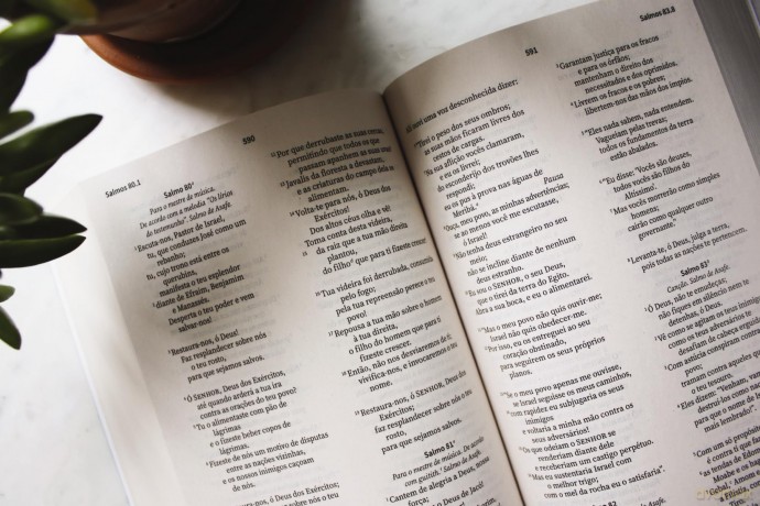 NVI, Portuguese NVI Bible, Paperback: Biblia Sagrada Nova Versao Internacional - Zondervan [KSIĄŻKA]