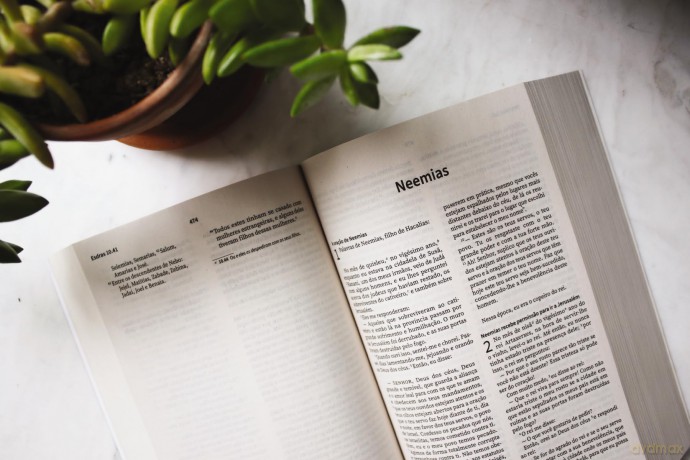 NVI, Portuguese NVI Bible, Paperback: Biblia Sagrada Nova Versao Internacional - Zondervan [KSIĄŻKA]