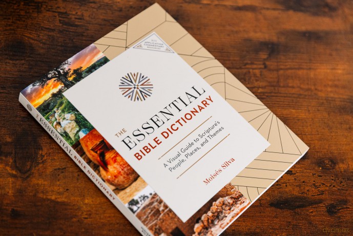 The Essential Bible Dictionary: Key Insights for Reading God's Word (NIV Application Commentary Resources) - Moisés Silva [KSIĄŻKA]
