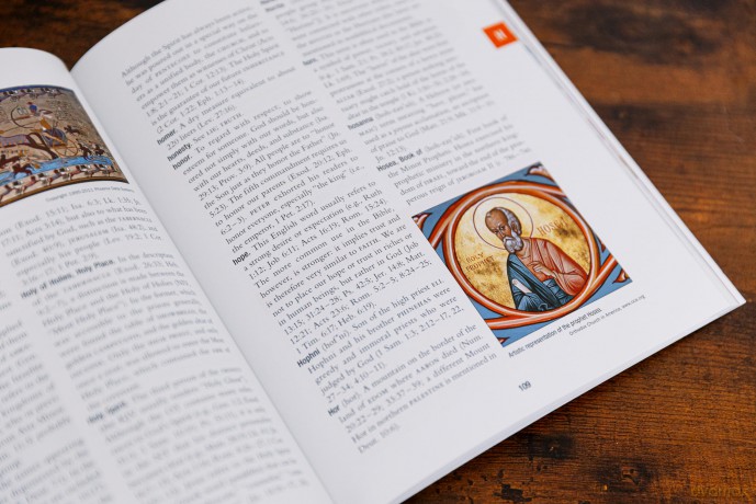 The Essential Bible Dictionary: Key Insights for Reading God's Word (NIV Application Commentary Resources) - Moisés Silva [KSIĄŻKA]