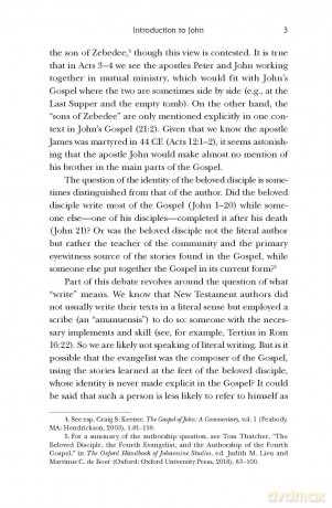 John, Volume 4 (4) (New Word Biblical Themes: New Testament) - Dorothy Lee [KSIĄŻKA]