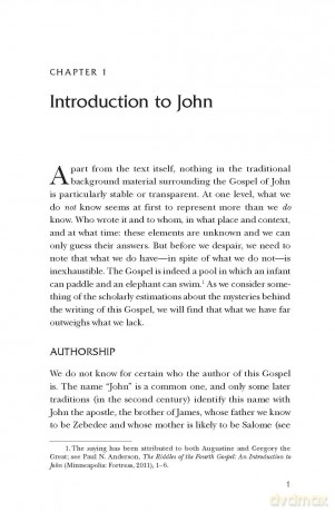 John, Volume 4 (4) (New Word Biblical Themes: New Testament) - Dorothy Lee [KSIĄŻKA]