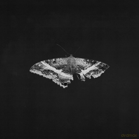 Kendrick Lamar: To Pimp A Butterfly (10th Anniversary) (Exclusive) [2xWinyl]
