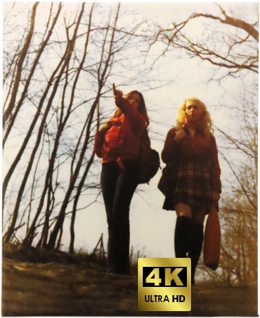 Girls Without Shame (Aka Schoolgirl Hitchhikers) (Limited) [Blu-Ray 4K]