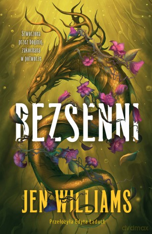 Bezsenni - Jen Williams [KSIĄŻKA]