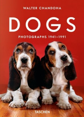 Dogs. Photographs 1941-1991 - Walter Chandoha. [KSIĄŻKA]