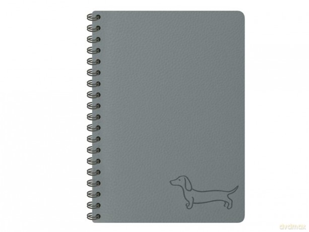 Kołozeszyt 80k.linia dark gray