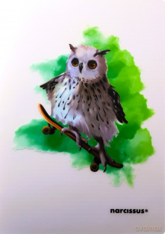 Zeszyt A4 32k. linia cienka kolorowa PP JOY 1szt.mix