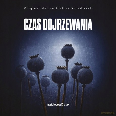 Czas dojrzewania soundtrack (Józef Skrzek) [CD]