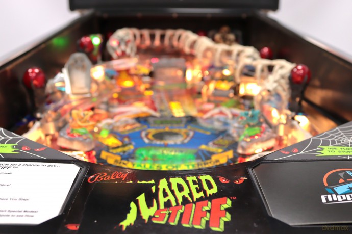 Scared Stiff Flipper