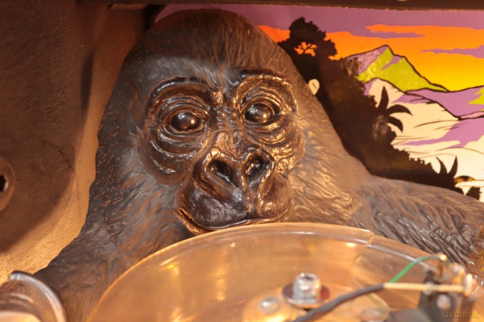 Congo Flipper