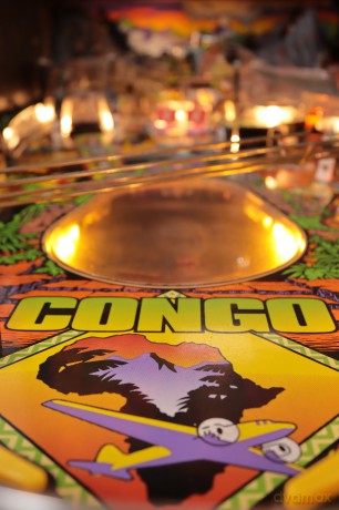 Congo Flipper