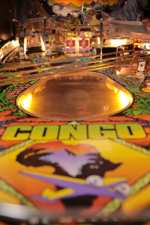 Congo Flipper