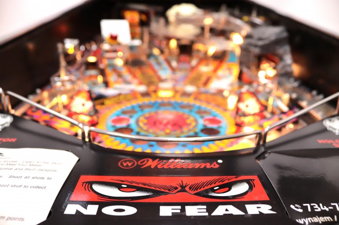 No Fear: Dangerous Sports Flipper